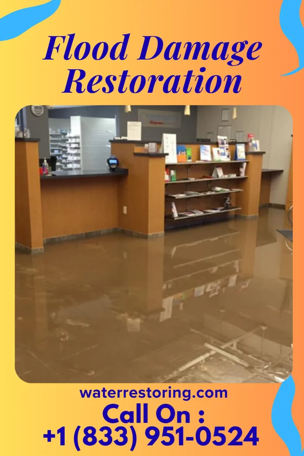 Flood Damage Restoration in Chance, OK