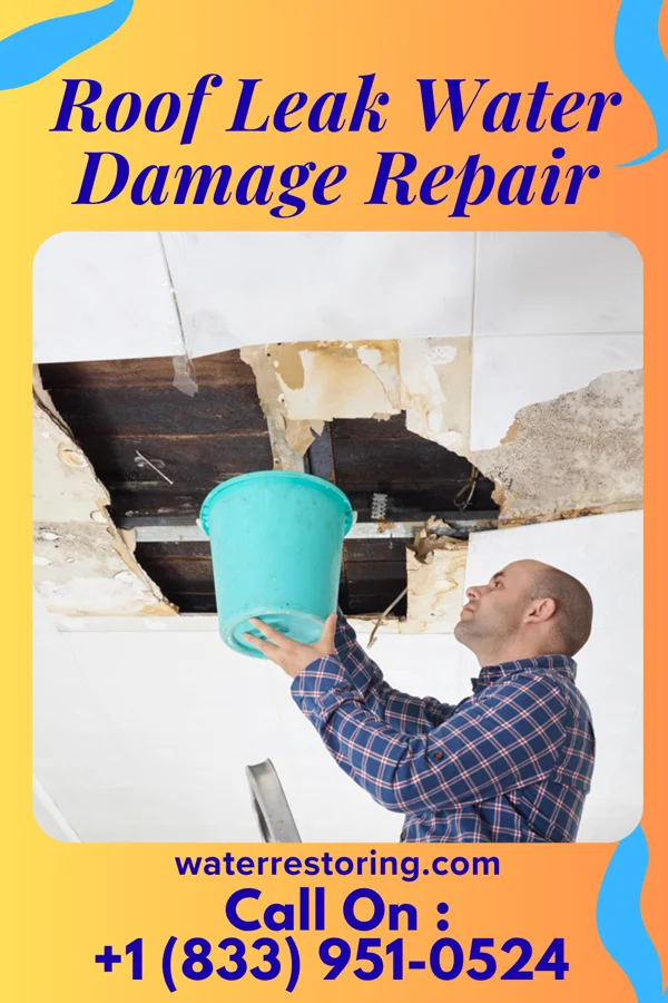 Roof Leak Water Damage Repair in Chance, OK